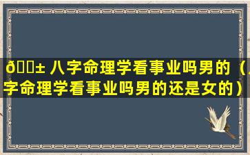 🐱 八字命理学看事业吗男的（八字命理学看事业吗男的还是女的）